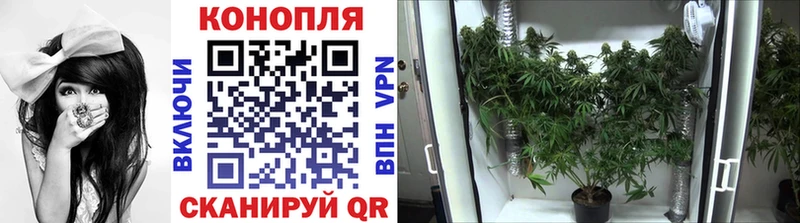 Каннабис семена  Фатеж 